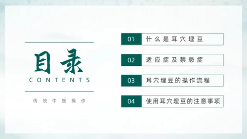 中国风古风水墨中医耳穴埋豆传统理疗操作培训PPT