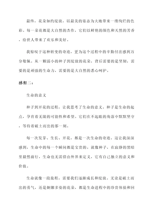 从种子到开花的感想