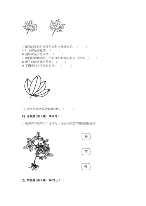 教科版一年级上册科学期末测试卷（典型题）.docx