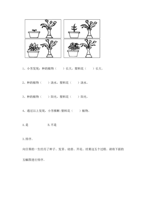 教科版一年级上册科学期末测试卷及参考答案ab卷.docx