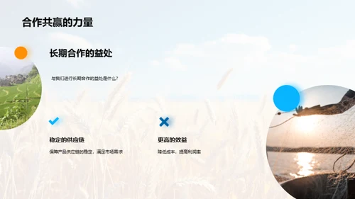 农业市场创新策略