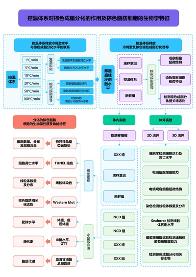 彩色清新通用论文流程图