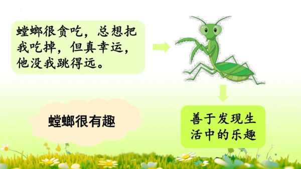 11.我是一只小虫子 课件