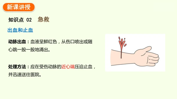 8.2用药与急救-八年级生物人教版下学期同步精品课件(共38张PPT)