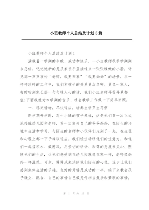 小班教师个人总结及计划5篇.docx