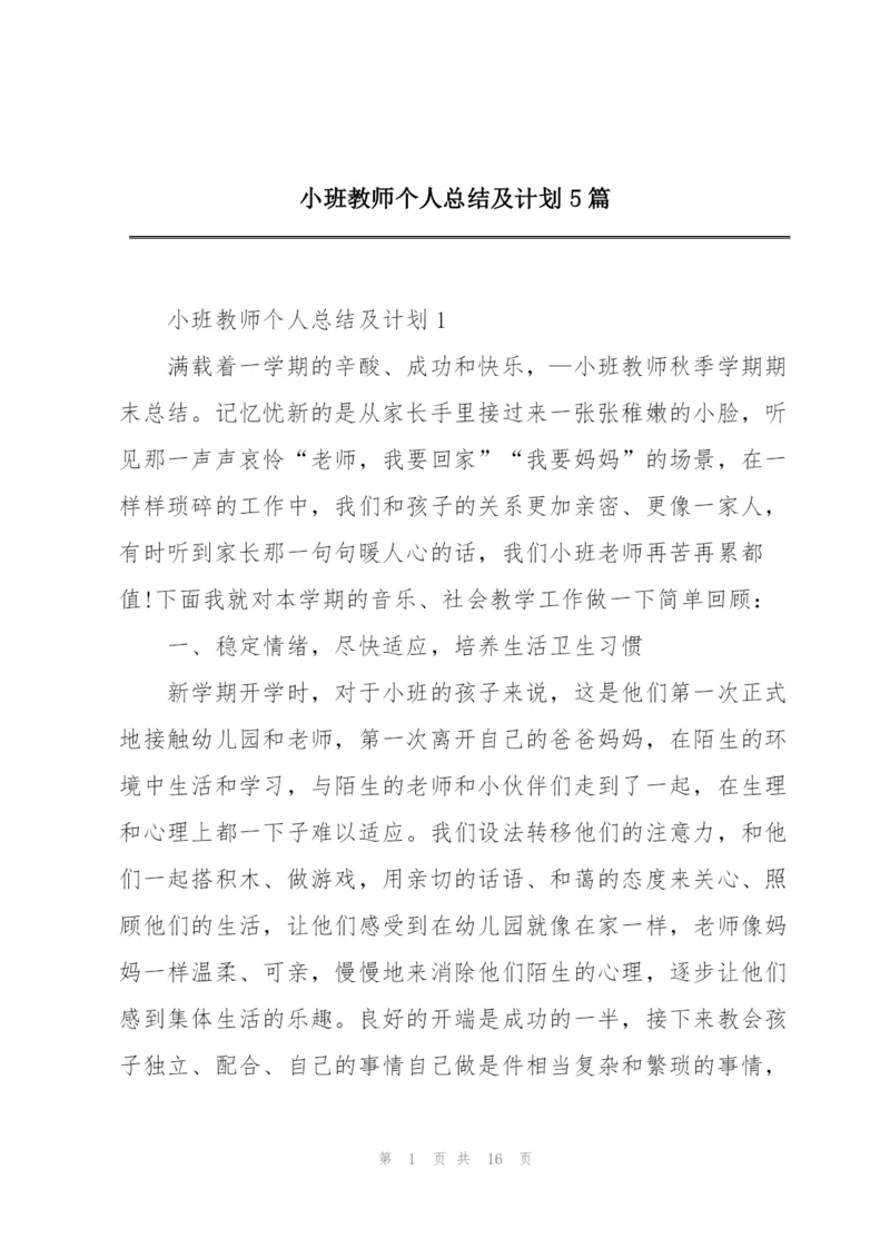 小班教师个人总结及计划5篇.docx