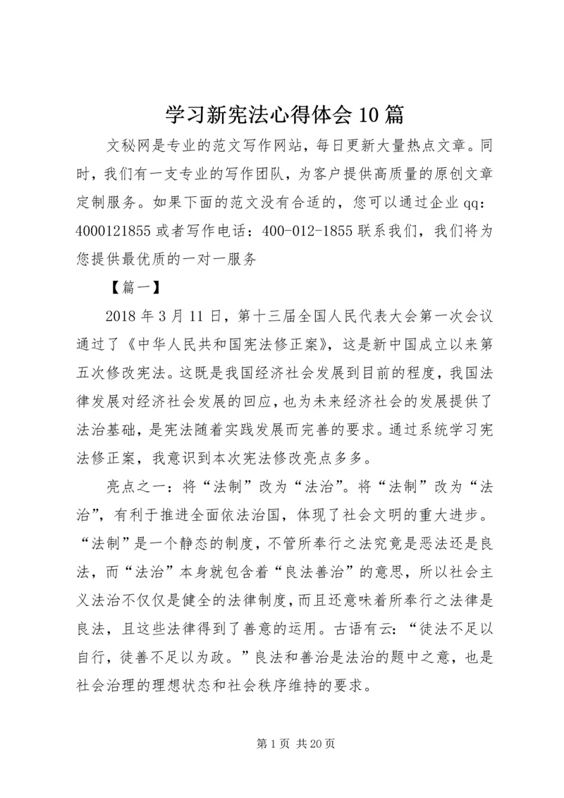 学习新宪法心得体会10篇.docx