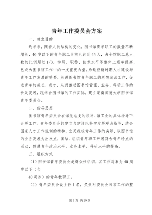 青年工作委员会方案.docx