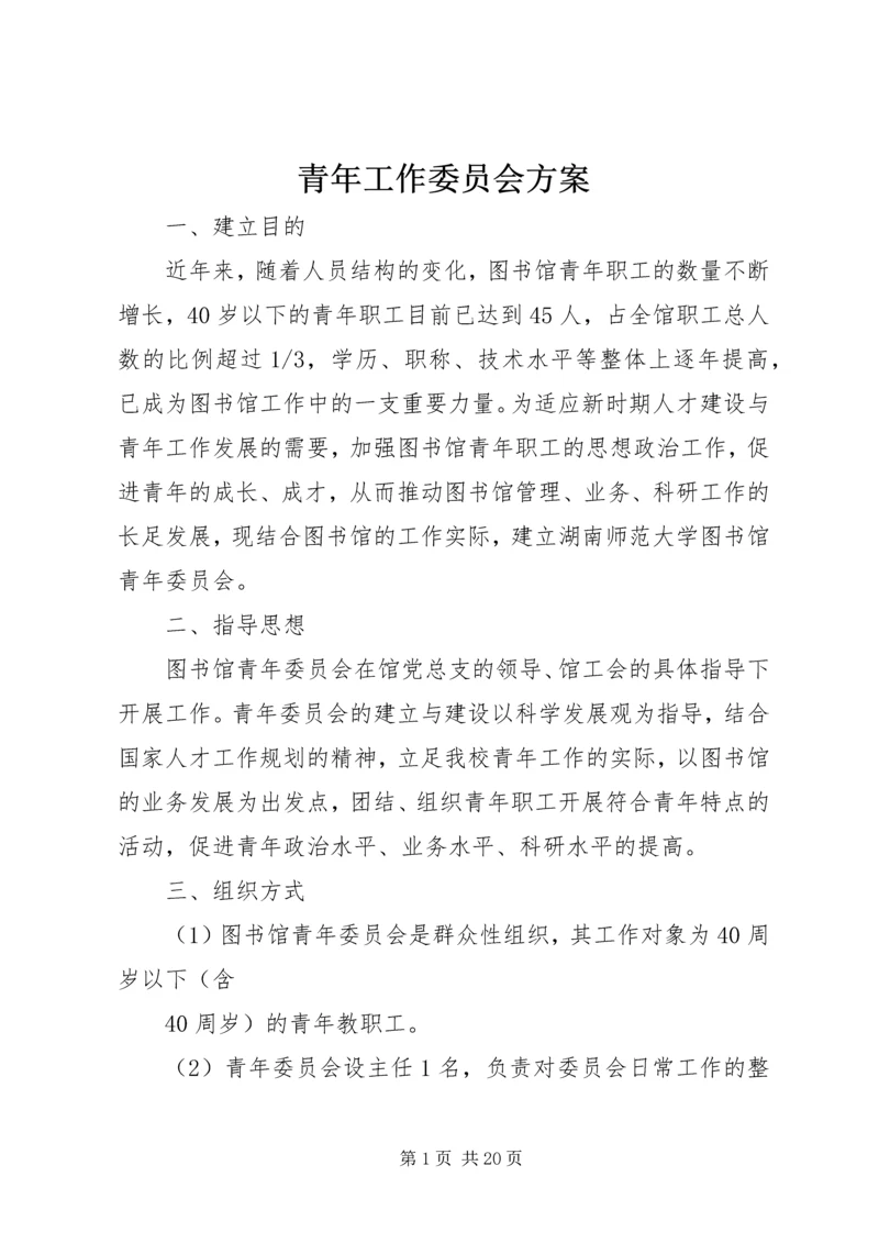 青年工作委员会方案.docx