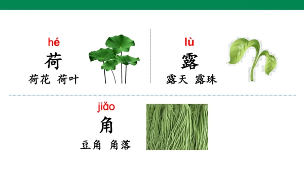 11古诗二首 小池  课件