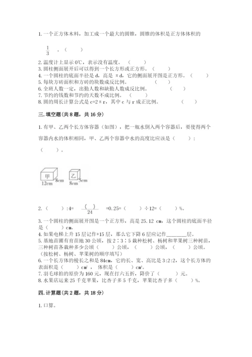 人教版六年级下册数学期末测试卷学生专用.docx