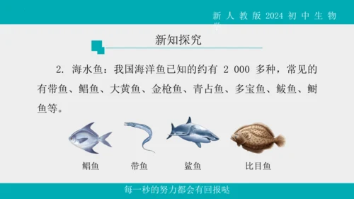 人教版生物七年级上册2.2.2《脊椎动物》（第1课时）课件(共42张PPT)+视频素材