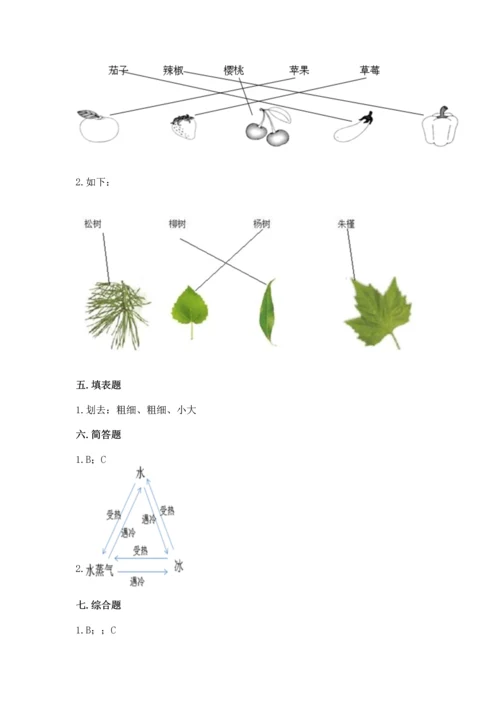 教科版科学一年级上册第一单元《植物》测试卷附答案【完整版】.docx