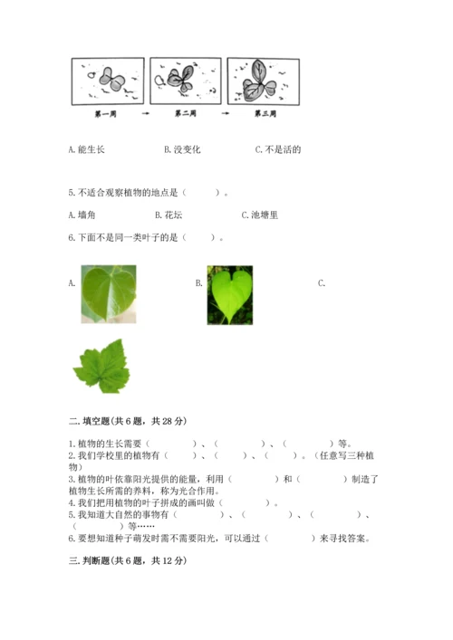 教科版科学一年级上册第一单元《植物》测试卷附参考答案【考试直接用】.docx