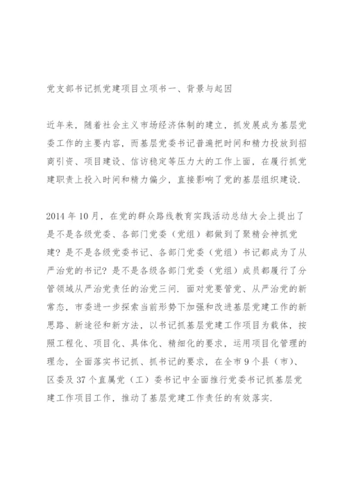 党支部书记抓党建项目立项书.docx