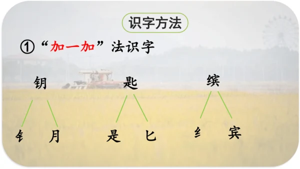 第6课 《秋天的雨》 课件