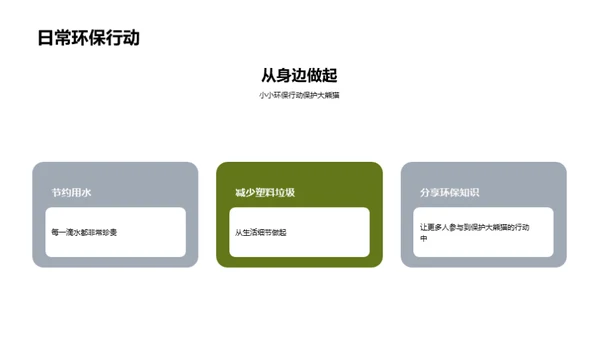 守护国宝：大熊猫保护行动