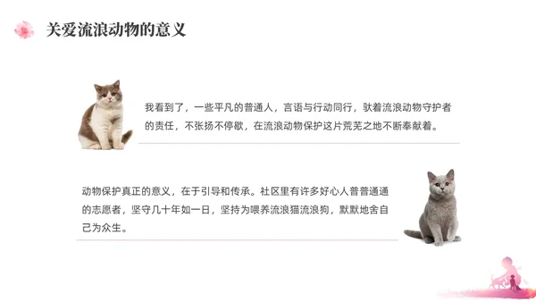 紫红色水彩简约关爱流浪动物宣传教育PPT课件