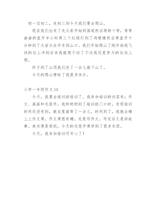 小学一年级作文.docx
