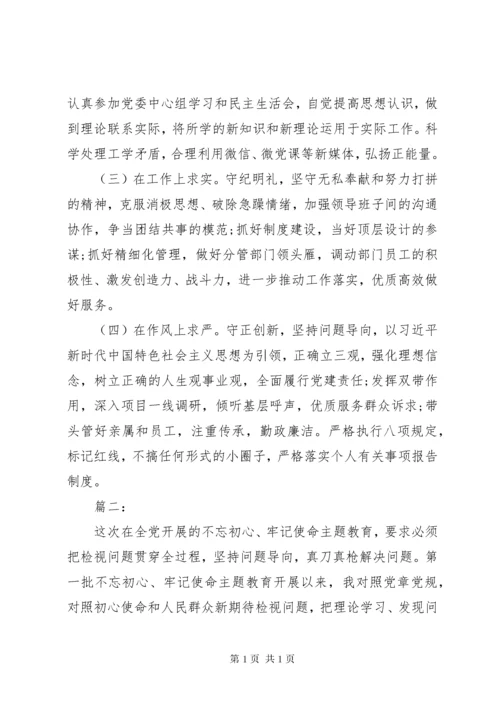 主题教育个人检视剖析材料三篇.docx