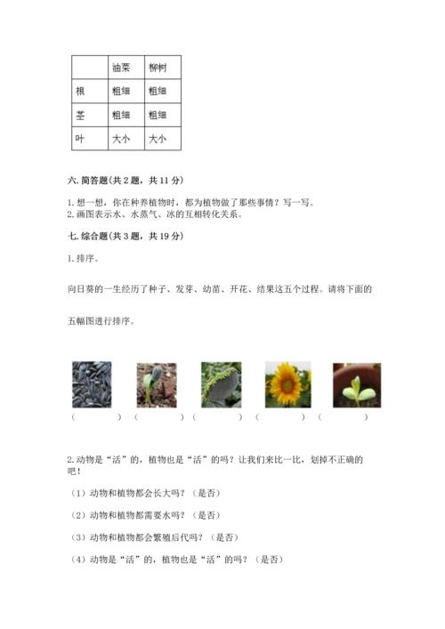 教科版科学一年级上册第一单元《植物》测试卷及答案【精品】.docx