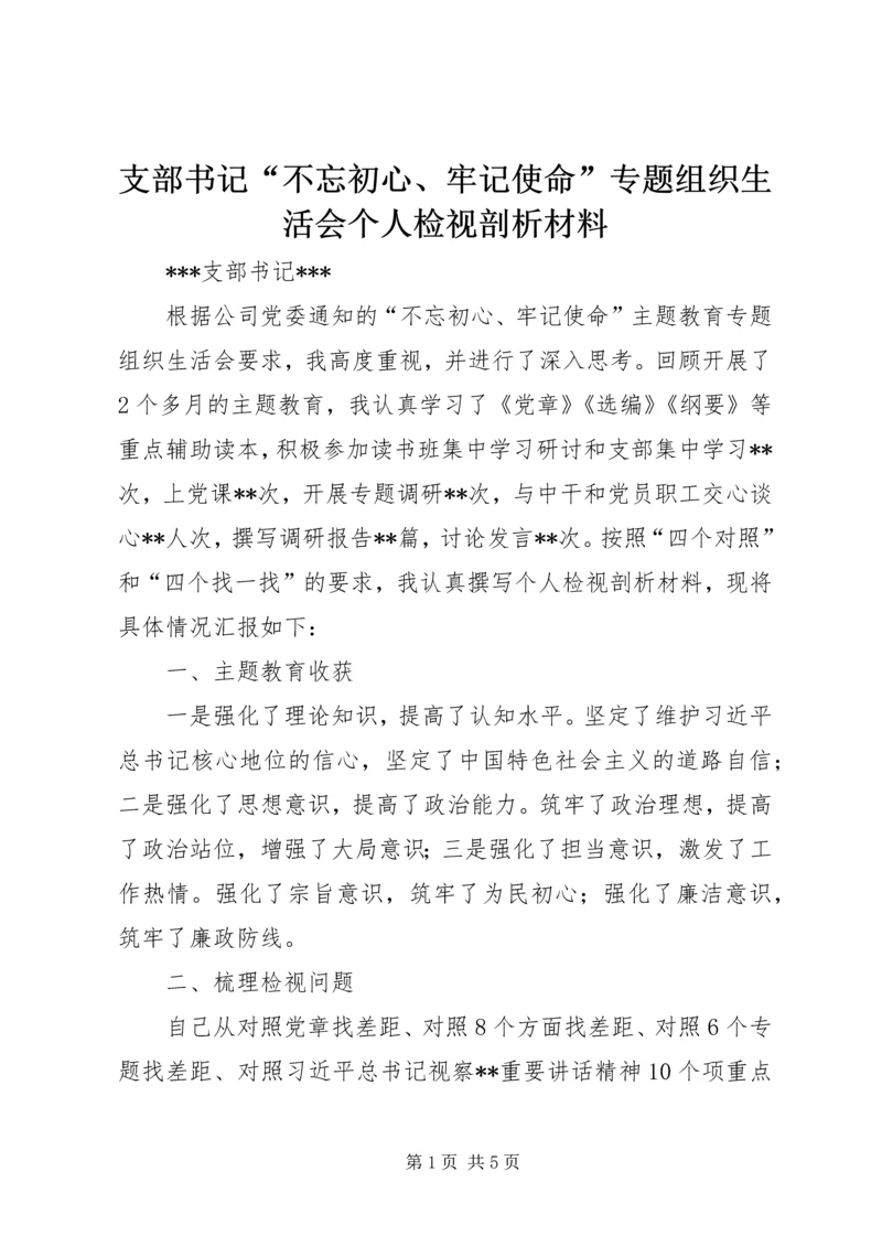 支部书记“不忘初心、牢记使命”专题组织生活会个人检视剖析材料 (2).docx