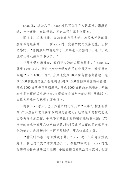 村党支部书记事迹材料 (11).docx