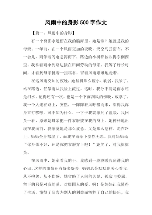 风雨中的身影500字作文.docx