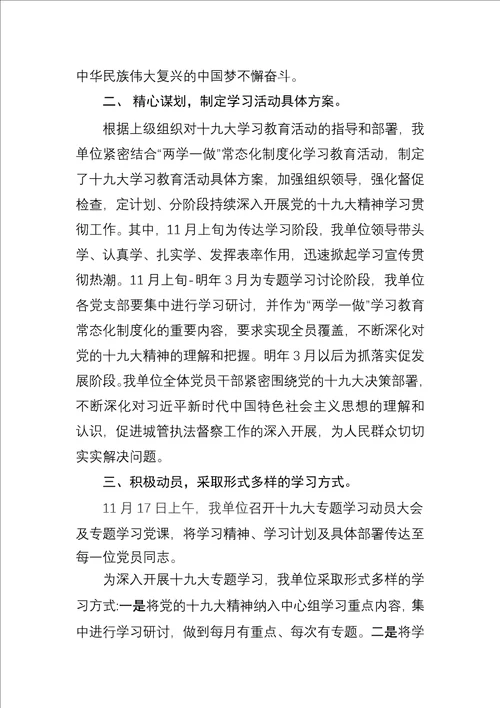 学习贯彻十九大精神情况汇报