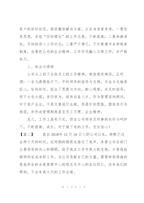 个人试用期转正工作总结300字.docx