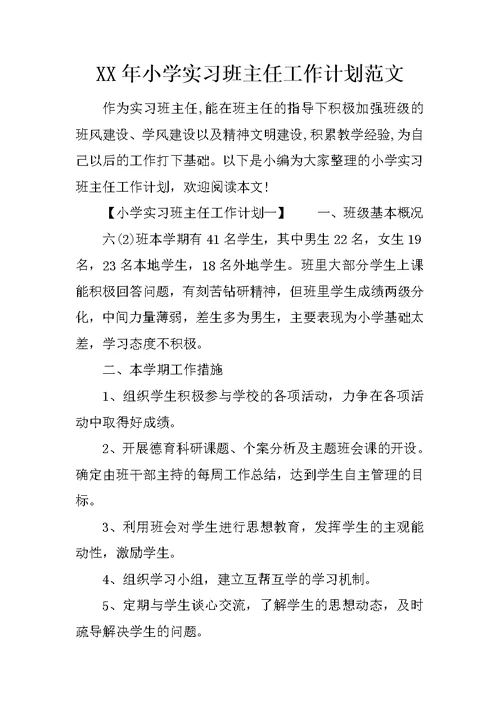 XX年小学实习班主任工作计划范文