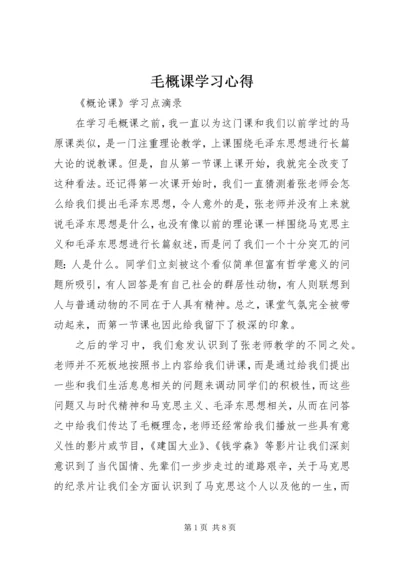 毛概课学习心得.docx