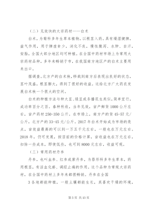 中药材种植项目投资可行性研究报告 (4).docx