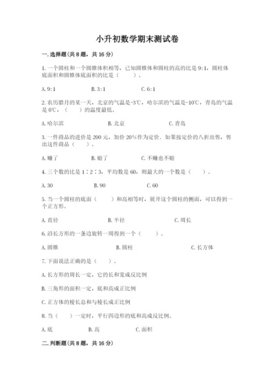小升初数学期末测试卷及一套完整答案.docx