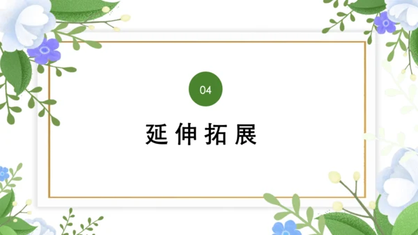 11 十六年前的回忆 课件