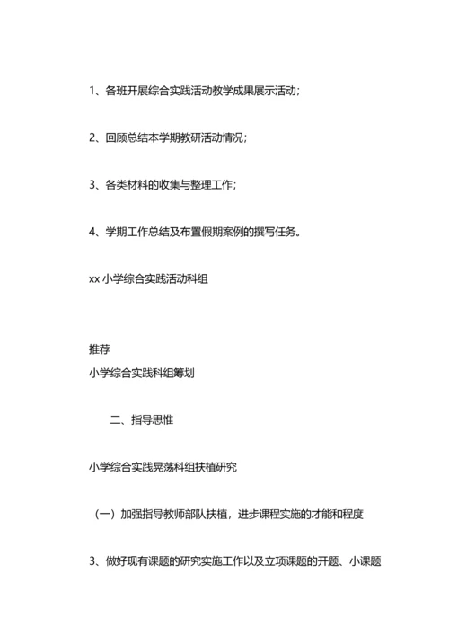 小学综合实践活动科组计划.docx