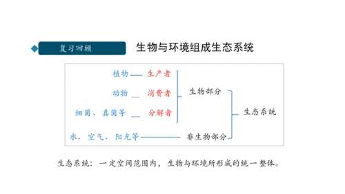 1.2.3 生物圈是最大的生态系统 课件（共28张PPT）