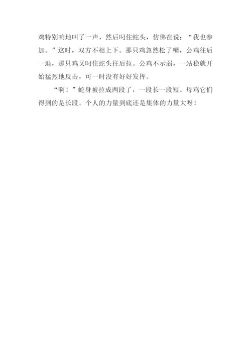 拔河比赛作文300字.docx