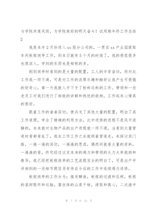 试用期年终工作总结.docx