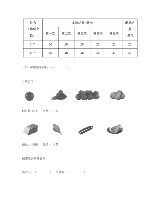 教科版四年级上册科学期末测试卷【精华版】.docx