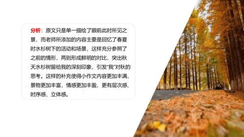 八年级语文上册第三单元 学习景物描写 课件