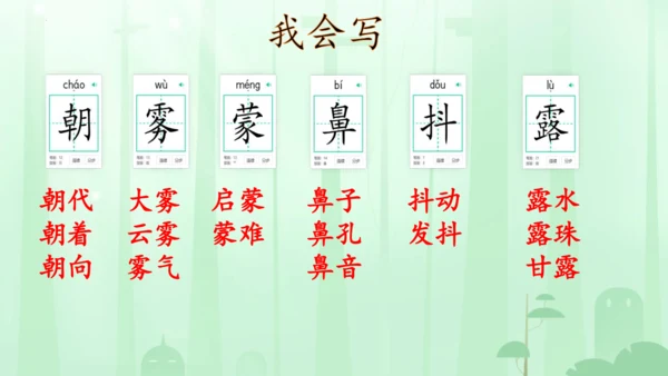 第23课《父亲、树林和鸟》（教学课件）