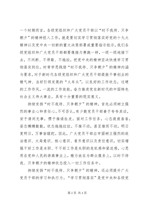 学习以时不我待只争朝夕的精神心得体会.docx