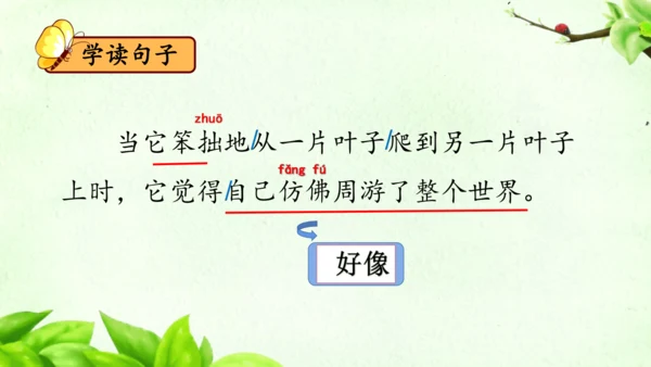 22《小毛虫》课件