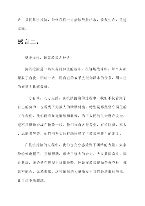 抗洪抢险的感言