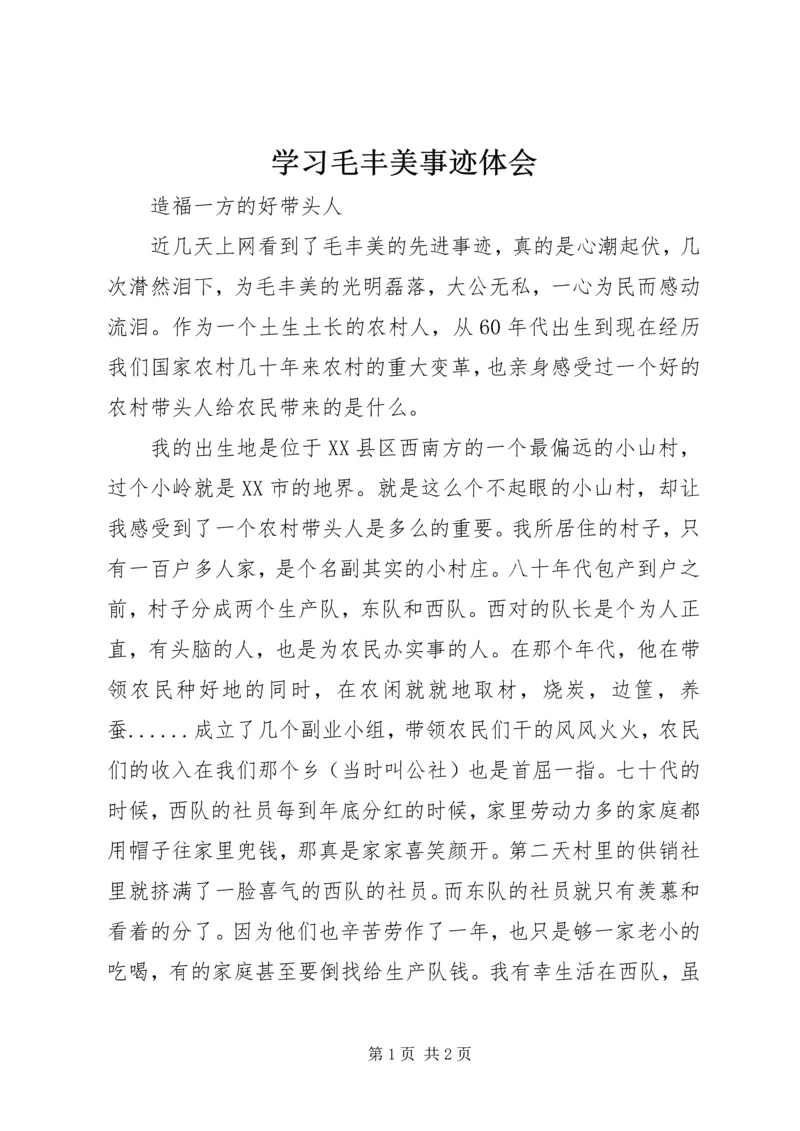 学习毛丰美事迹体会.docx