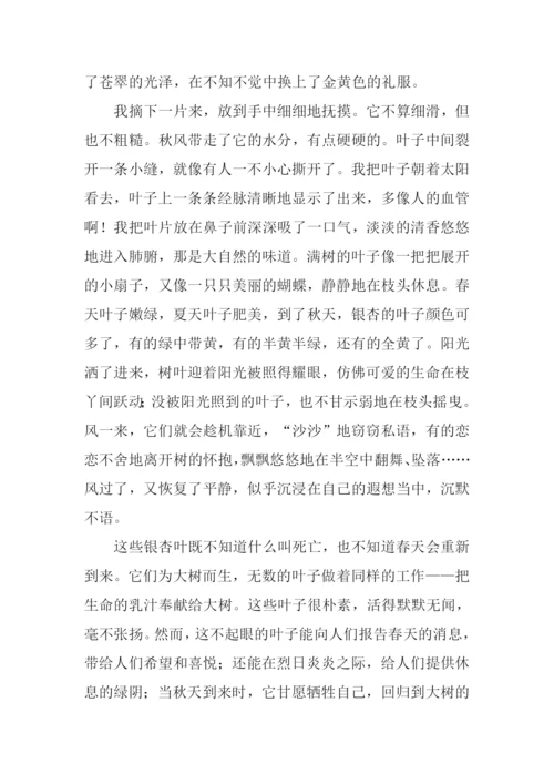 关于描写秋景的作文.docx