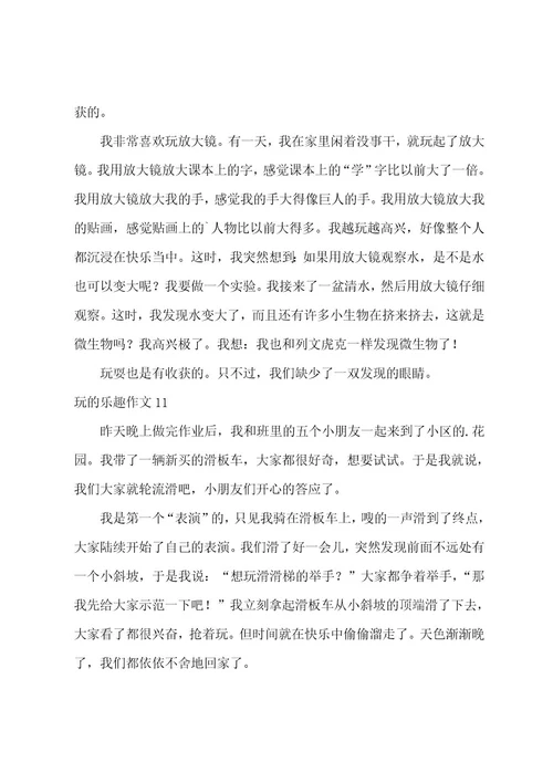 玩的乐趣作文