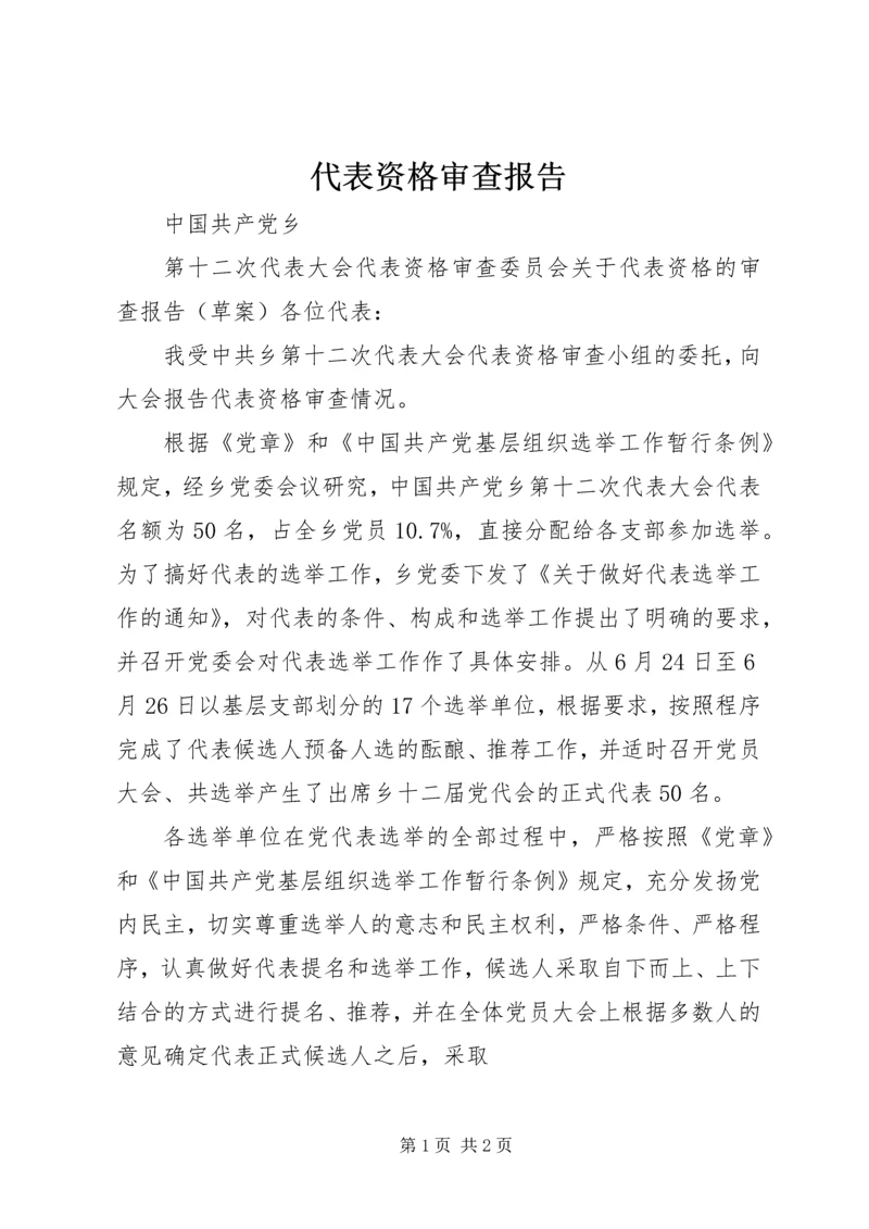 代表资格审查报告.docx