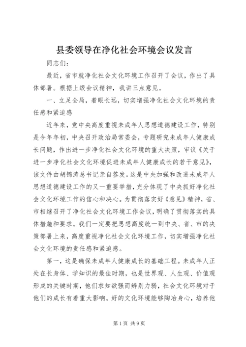 县委领导在净化社会环境会议发言.docx